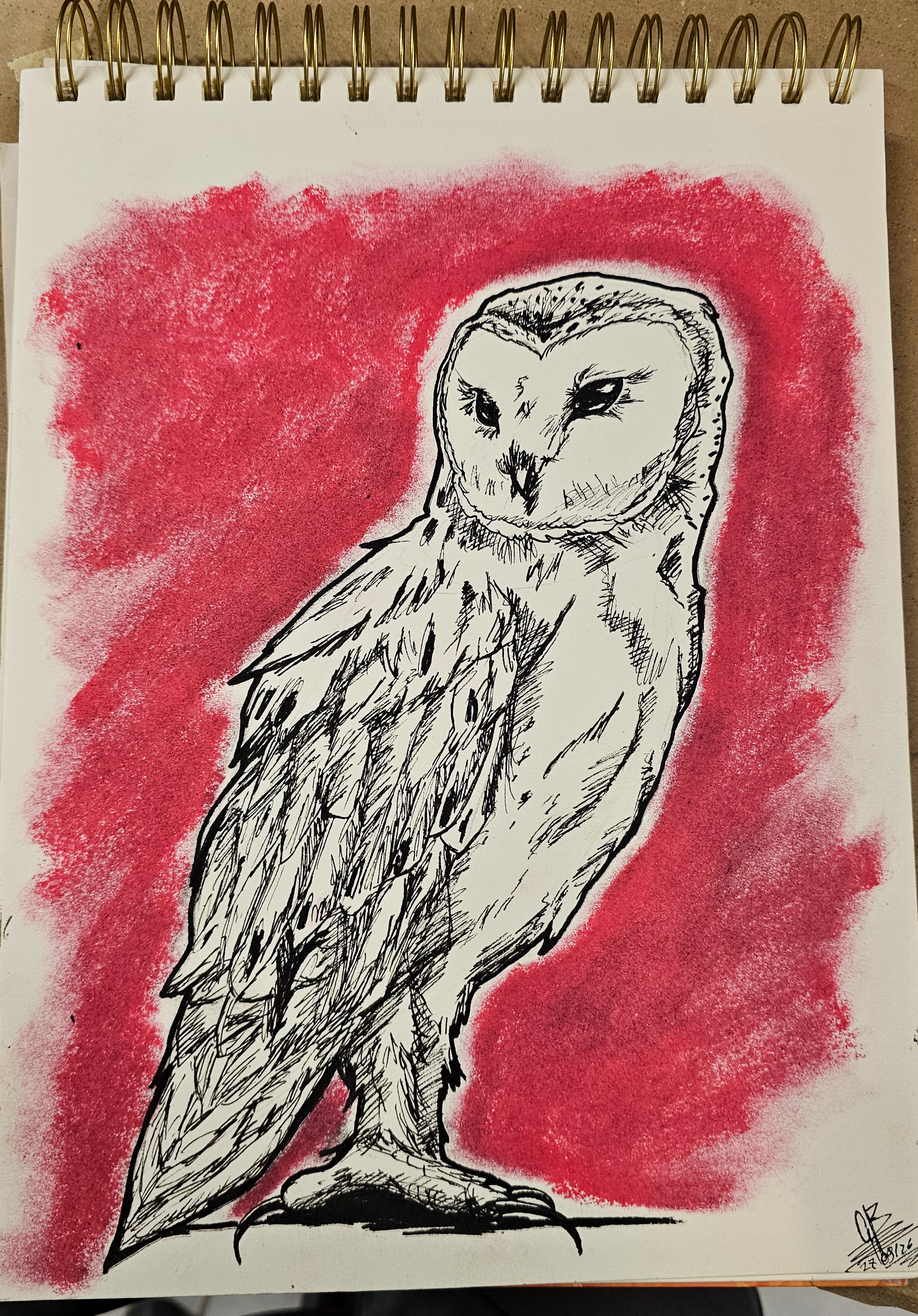 Gus artwork 7